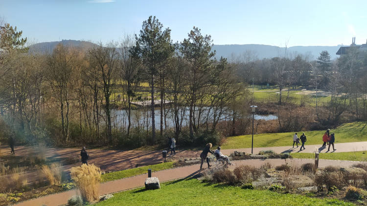 Skywalk Mosel