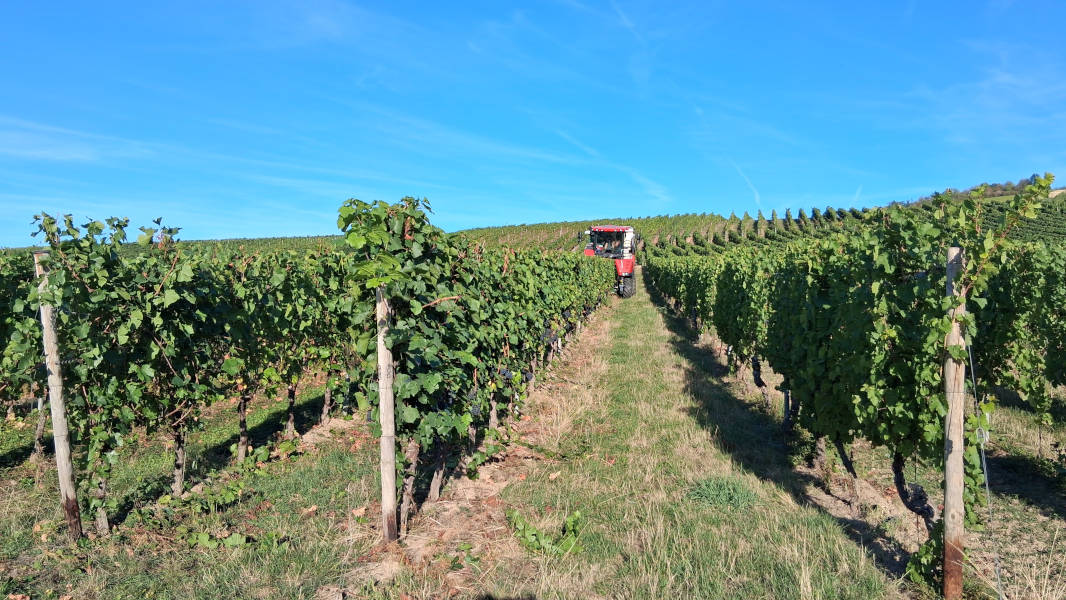 Vollernter im Einsatz