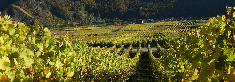 Herbst
