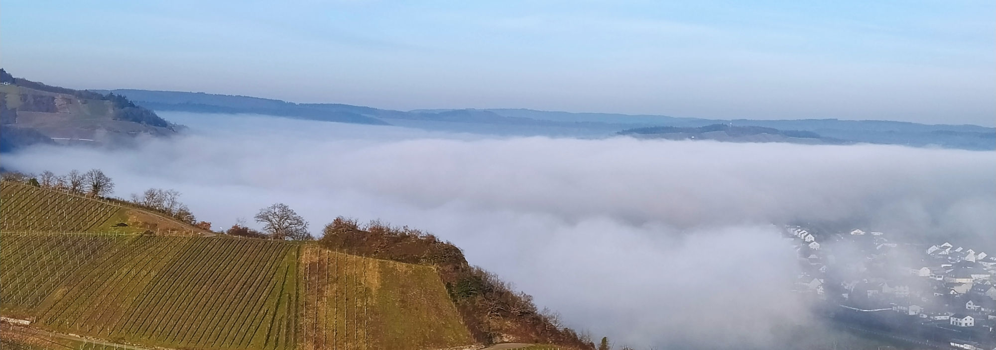 Minheim an der Mosel