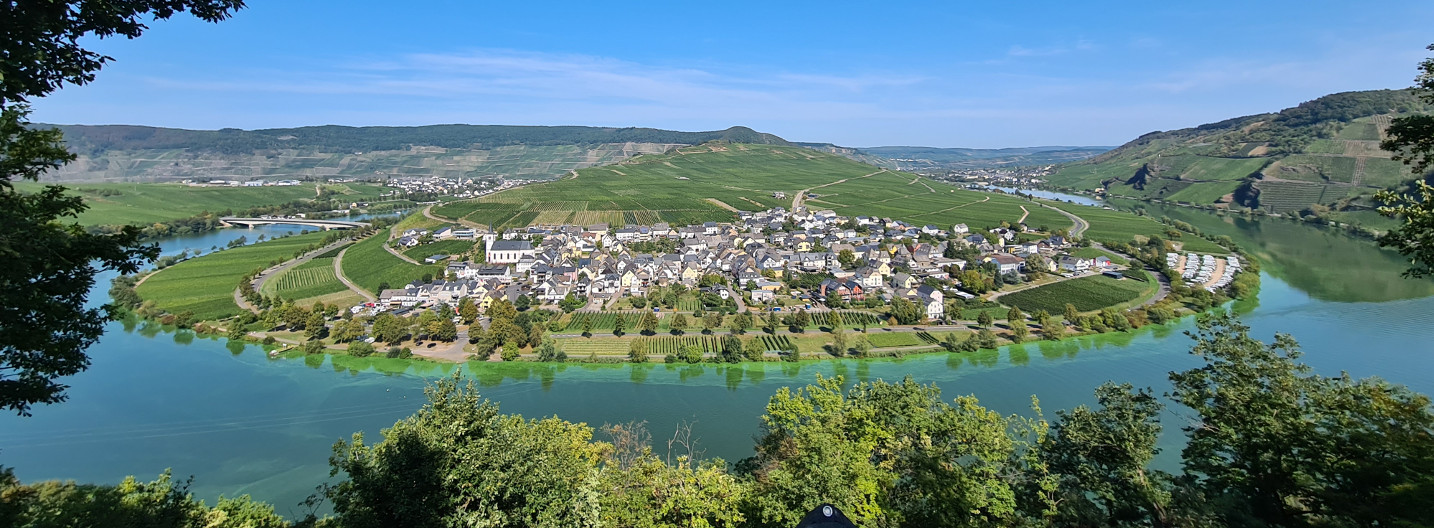 Minheim an der Mosel